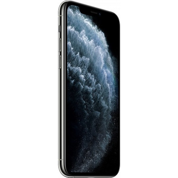 Мобильный телефон Apple iPhone 11 Pro Max 256GB (черный)