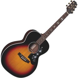 Гитара Takamine EG450DLX