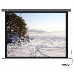 Проекционный экран CACTUS Professional Motoscreen 274x206
