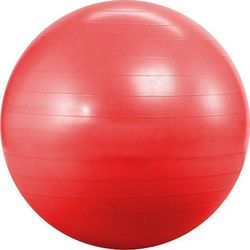 Гимнастический мяч Landfit Fitness Ball 55cm