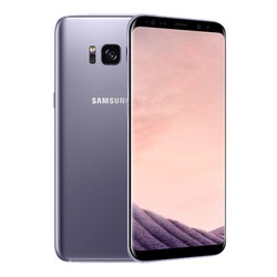 Мобильный телефон Samsung Galaxy S8 Plus Duos 64GB (серебристый)