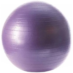 Мячи для фитнеса и фитболы Lifemaxx LMX1100.55