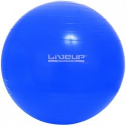Гимнастический мяч LiveUp LS3221-65