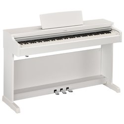 Цифровое пианино Yamaha YDP-163 (белый)