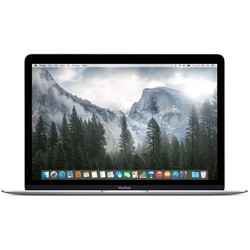 Ноутбук Apple MacBook 12" (2017) (MNYJ2)