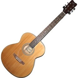 Акустические гитары Eurofon GSW65