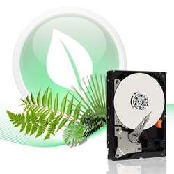 Жесткие диски WD WD8000AARS