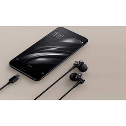 Наушники Xiaomi Mi Denoise Earphone Type-C Edition (черный)