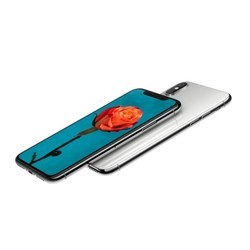 Мобильный телефон Apple iPhone X 256GB (золотистый)