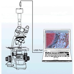 Микроскоп Micromed 2 var. 3-20