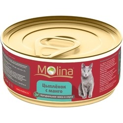 Корм для кошек Molina Adult Canned Chicken/Mango 0.08 kg