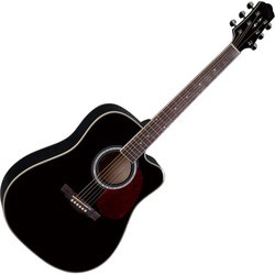 Гитара Naranda DG220C