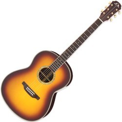 Гитара ARIA MSG-05
