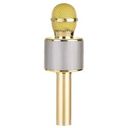 Микрофон MICGEEK Q9 (золотистый)