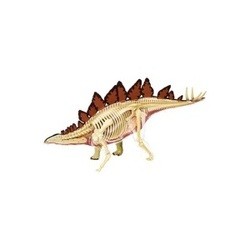 3D пазл 4D Master Stegosaurus Anatomy Model 26095