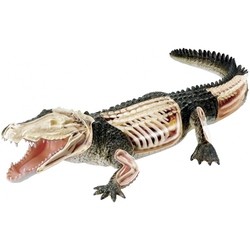 3D пазл 4D Master Crocodile Anatomy Model 26114