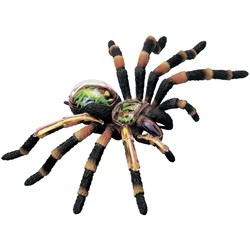 3D пазл 4D Master Tarantula Spider Anatomy Model 26112