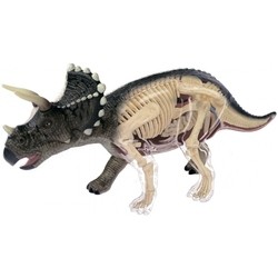 3D пазл 4D Master Tricerators Anatomy Model 26093