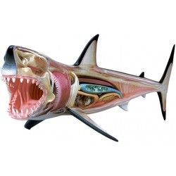 3D пазл 4D Master Great White Shark Anatomy Model 26111