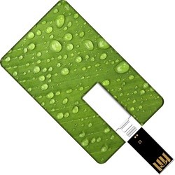 USB Flash (флешка) GOODRAM Plastic Credit Card 8Gb