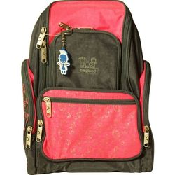 Школьный рюкзак (ранец) Bagland 0010170