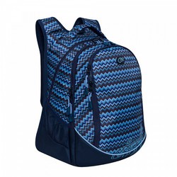 Школьный рюкзак (ранец) Grizzly RD-835-1 (синий)