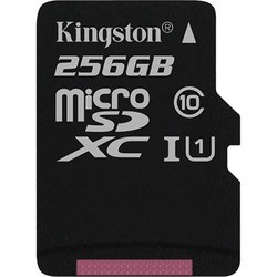Карта памяти Kingston microSDXC Canvas Select 256Gb