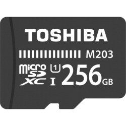 Карта памяти Toshiba M203 microSDXC UHS-I U1 256Gb