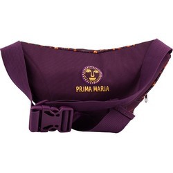 Школьный рюкзак (ранец) KITE 1007 Prima Maria-1