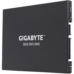 SSD накопитель Gigabyte GP-GSTFS30256GTTD