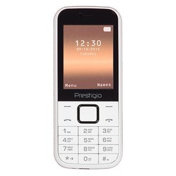 Мобильный телефон Prestigio Wize G1 DUO (белый)