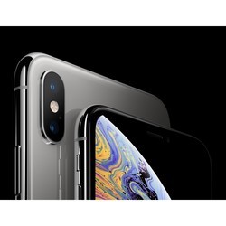 Мобильный телефон Apple iPhone Xs Max 64GB (черный)