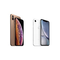 Мобильный телефон Apple iPhone Xs Max 64GB (серый)