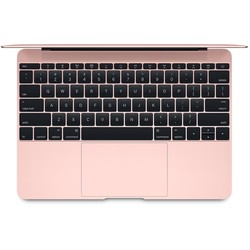 Ноутбук Apple MacBook 12" (2017) (Z0TX0001Z)