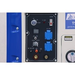 Электрогенератор TSS DGW 250ESS