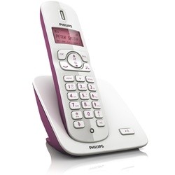 Радиотелефоны Philips CD1701P