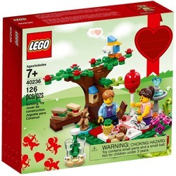 Конструктор Lego Romantic Valentine Picnic 40236