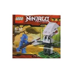 Конструктор Lego Ninja Training 30082