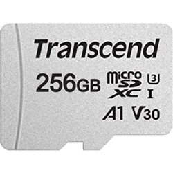 Карта памяти Transcend microSDXC 300S 256Gb