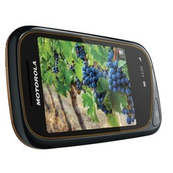 Мобильные телефоны Motorola WILDER