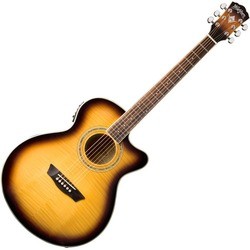 Гитара Washburn EA15ATB