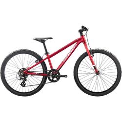 Велосипед ORBEA MX 24 Dirt 2019