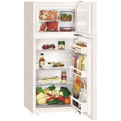Холодильник Liebherr CT 2131