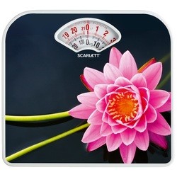 Весы Scarlett SC-BS33M043