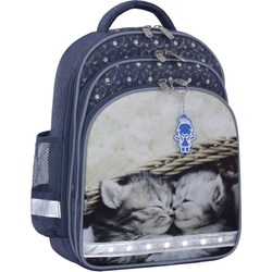 Школьный рюкзак (ранец) Bagland Mouse 321