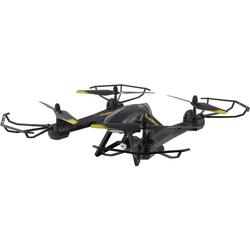 Квадрокоптер (дрон) Overmax X-Bee Drone 5.5 FPV