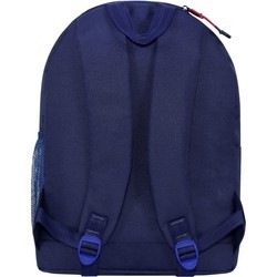 Школьный рюкзак (ранец) Bagland Hood W/R 17