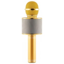 Микрофон WSTER WS 858 (золотистый)