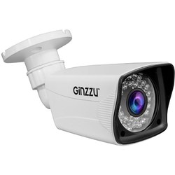 Камера видеонаблюдения Ginzzu HAB-2036P