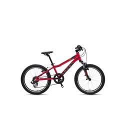 Велосипед Green Bikes Kids 20 2019 (розовый)